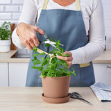 SVÄRDFISK Scissors, set of 2, stainless steel grey/grey-turquoise